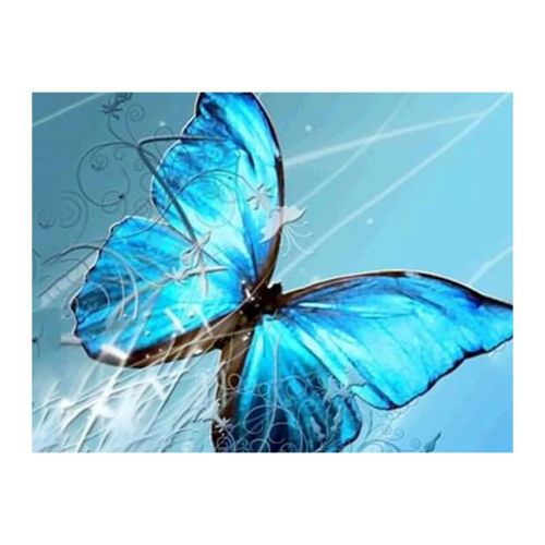 Алмазна мозаїка "Синій метелик" (MiC)