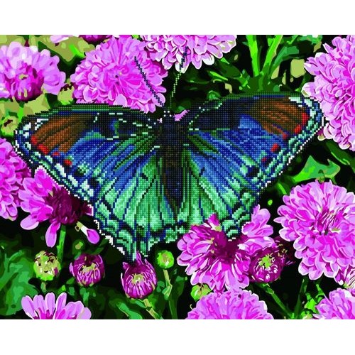 Картина по номерам + Алмазная мозаика "Бабочка в цветах" ★★★★ (Rainbow Art)
