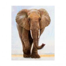 Алмазная мозаика "Величественный слон"