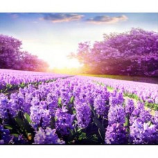 Алмазная мозаика "Поле фиолетовых цветов"