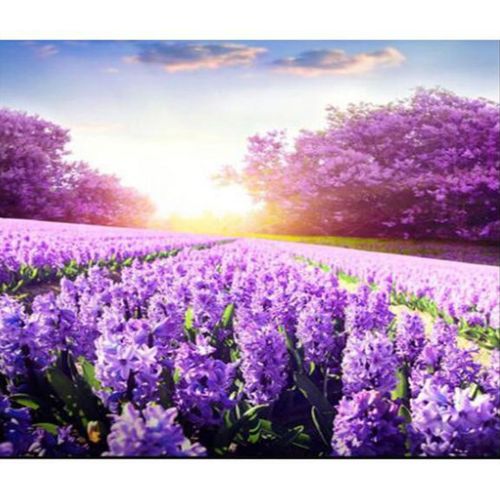Алмазна мозаїка "Поле фіолетових квітів" (Strateg)