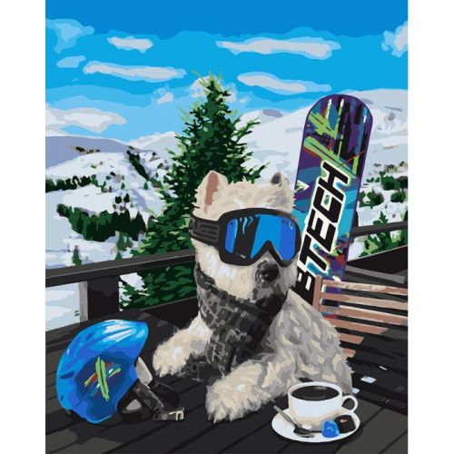Картина по номерам "Сноубордист" ★★★★ (Идейка)
