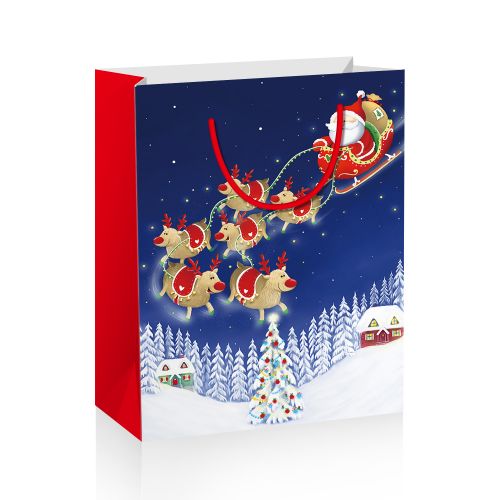 Подарочный пакет "Christmas", вид 1 (Malevaro)