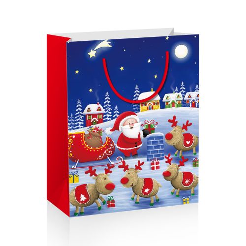 Подарунковий пакет "Christmas", вид 3 (Malevaro)