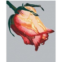 Картина за номерами 