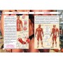 Книга "Все про тіло людини. Тисячі цікавих фактів" (укр) (Crystal Book)