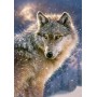 Пазлы "Волк", 500 элементов (Castorland)