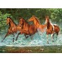 Пазлы "Лошади, бегущие по воде", 300 элементов (Castorland)