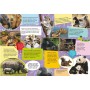 Книга "Школа почемучки. Удивительные животные. 60 развивающих наклеек", укр (Crystal Book)