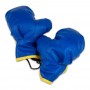 Боксерские перчатки Ukraine, детские, 10-14 лет (Strateg)