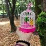 Іграшка на батарейках "Пташки в клітці" (рожевий), вид 1 (MiC)