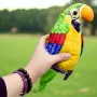 Інтерактивна іграшка "Папуга-повторюшка" (зелений) (MiC)