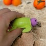 Антистресс-игрушка "Черепашка", выпрыгивающая (розовая) (MiC)