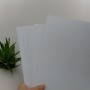 Набор белого картона, 10 листов (формат А3) (Апельсин)