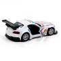 Автомодель - BMW Z4 GT3 (білий) (TechnoDrive)