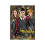 Пазл "Harry Potter. Гаррі та друзі", 250 елементів (Dodo)