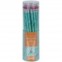 Карандаш графитный Axent 9009 OS, Spring, HB (Axent)