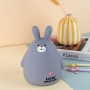 Скарбничка Kite Grey Bunny (Kite)