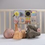 Центр для ліжечка, що розвиває - Пізнай світ (Taf Toys)