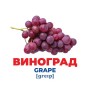 Геній з пелюшок. Фрукти та ягоди (демонстраційний матеріал) (Ранок)