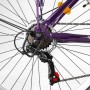 Велоcипед міський Corso «Viola» 26 дюймів VL-26914 (Corso)