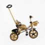 Велосипед 3-х колесный BS-70619 Best Trike колеса EVA переднее 10”, заднее 8”, стальная рама, УКР. Озвучка, родительская ручка, в коробке (BestTrike)