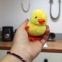 Іграшка заводна "Курчатко" (8 см) ходить (MiC)