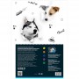 Бумага цветная неон. (10лист/5цвет), A4 Dogs (Kite)