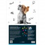 Бумага цветная двустор.(10 л/5 неон+5 обыч),А4 Kite Dogs (Kite)