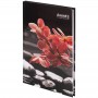 Книга записна тверда обкл. А5, 96 арк., кліт., R&B Flower (Axent)