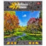 Зошит кольоровий 24 аркушів, клітинка (16 штук в упаковці) (Мрії Збуваються)