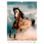 Календар настінний А3 2026 р., Horses (Axent)