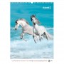 Календар настінний А3 2026 р., Horses (Axent)
