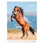 Календар настінний А3 2026 р., Horses (Axent)