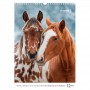 Календар настінний А3 2026 р., Horses (Axent)
