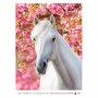 Календар настінний А3 2026 р., Horses (Axent)