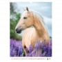 Календар настінний А3 2026 р., Horses (Axent)