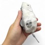 Мишка заводна на ключику, (КОРИЧНЕВА) (MiC)