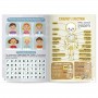 Изучаем телосложение (6+) рабочие тетради (Ранок)