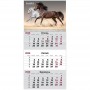 Календарь настенный квартальный 2026г, 1 пр., Horses 3 (Axent)