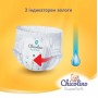 Chicolino Подгузники-трусики Super Soft 5 г, 34 шт (MiC)