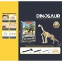 Раскопки CH 1301-7 (60) гипсовый брикет, набор инструментов в коробке. (chuang huang)
