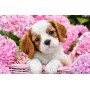 Пазли "Щеня в рожевих квітках", 500 елементів (Castorland)