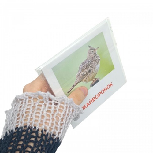 Карточки мини "Квіти"(17 карточек 11х11) (укр) (ЗІРКА)