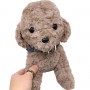 Мягкая игрушка "Мальтипу сидячий" (коричневый) 23 см (Копиця)