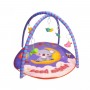 Коврик с погремушками 138 в сумке р.80x80x52 см (YG Toys)
