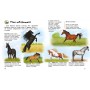 Книга "Энциклопедия дошкольника: Кони" (укр) (Ранок)