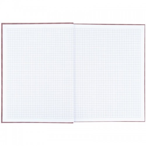 Книга записная А4, 96 л., кл., Lines, серая (Axent)