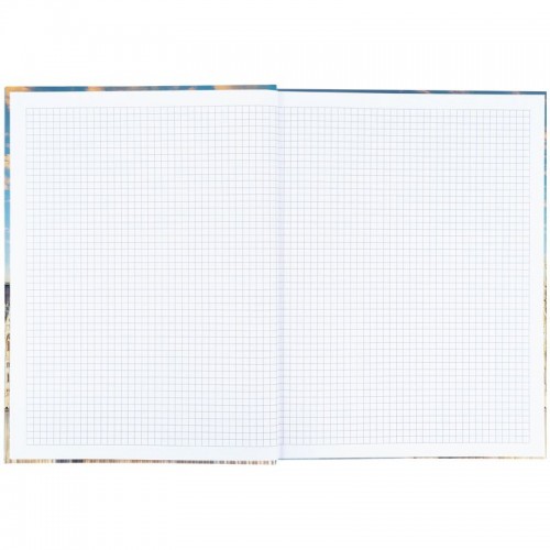 Книга записная A4- 203*273 мм, 96арк., кл., City, Budapest (Axent)