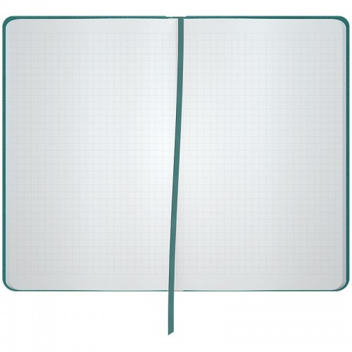 Книга записная Partner, 90*150, 96 л., кл., лазурная (Axent)